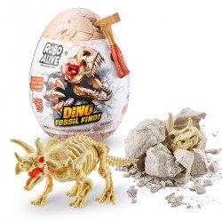 Dino fossil Triceratops